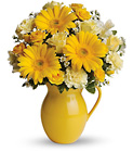 Teleflora's Sunny Day Pitcher of Cheer from Flowers by Ramon of Lawton, OK